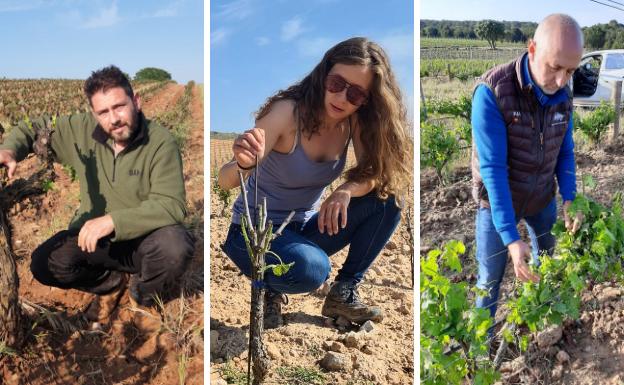 4.000 hectáreas siniestradas suben a más de 3 millones las indemnizaciones a viticultores en Burgos