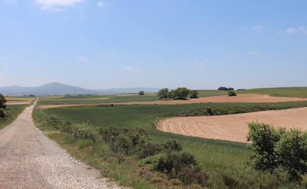 Los Barrios de Bureba busca convertirse en punto de referencia en agricultura digital