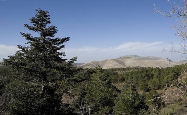 La Sierra de las Nieves, nuevo Parque Nacional