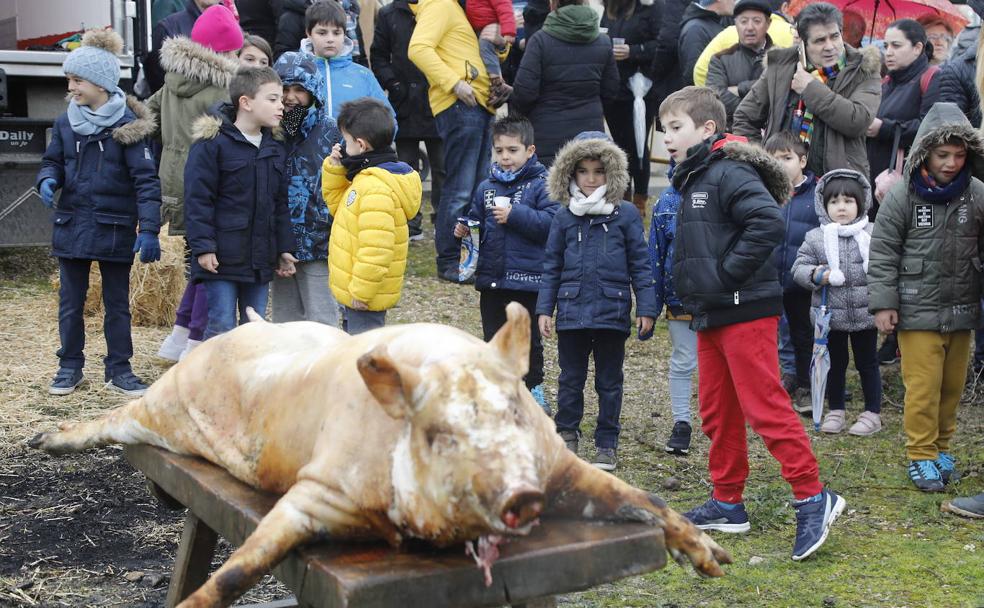 Villalobón: una fiesta alrededor de la matanza