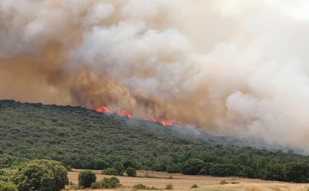 UGT denuncia falta de personal en la extinción de incendios en la zona sur y norte de Burgos