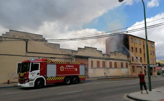 Investigan si hubo delito de maltrato animal con los galgos encontrados en el incendio del lunes