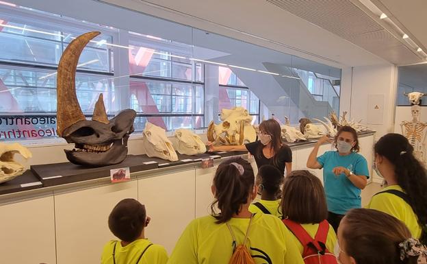 Primera actividad de la Asociación de Familias de Personas Sordas de Burgos en el CENIEH