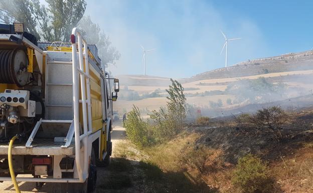 Un incendio arrasa más de cuatro hectáreas de cultivo en Acedillo