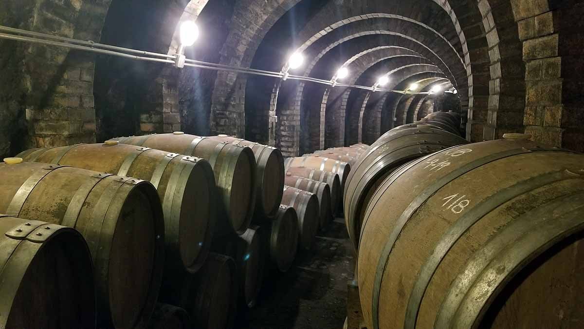 Las entrañas de Covarrubias tienen forma de bodega