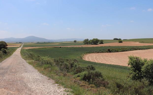 9,1 millones en indemnizaciones al campo burgalés, más del doble que en el primer semestre de 2020