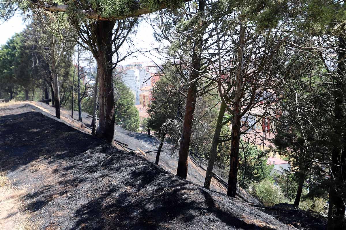 Las consecuencias del fuego en el entorno del Castillo de Burgos