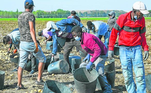 El campo comienza a movilizar a los temporeros