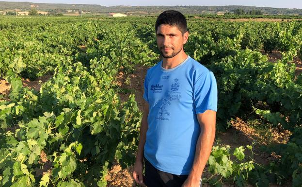 El tiempo esta semana: vuelven las altas temperaturas y el viñedo pide agua