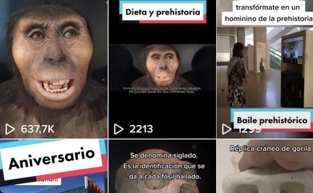 Las caras de la galería de los homínidos del MEH alcanzan las 630.000 visualizaciones en Tik Tok