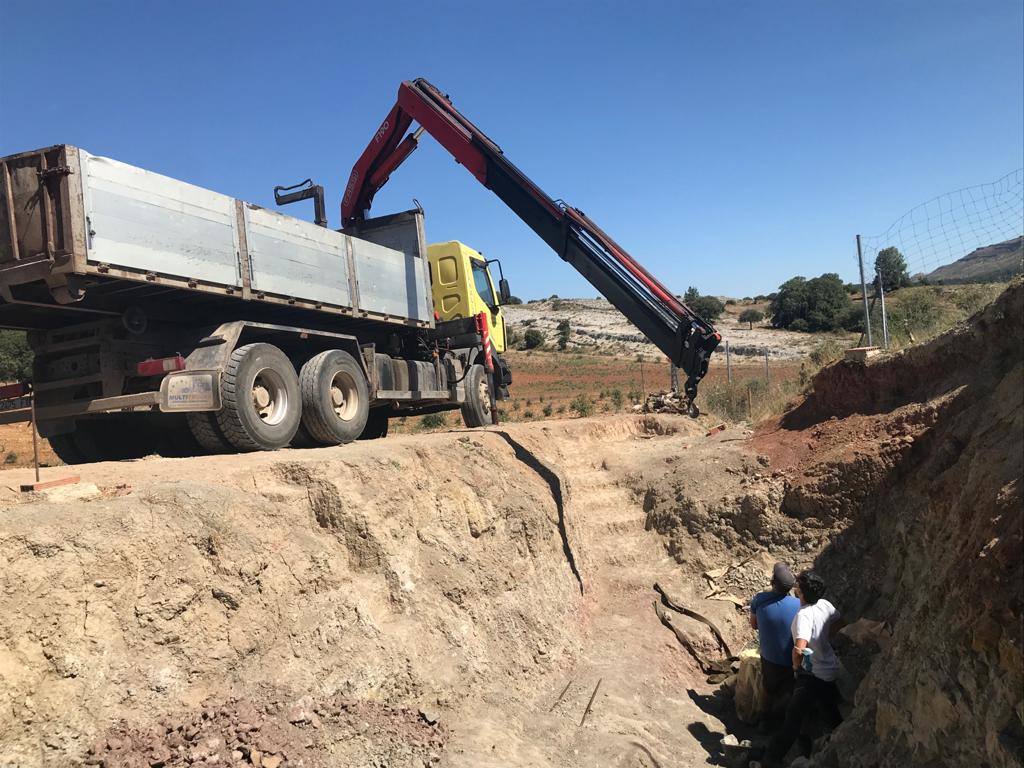 Finaliza la V campaña paleontológica en Torrelara con el hallazgo de restos anatómicos únicos hasta ahora