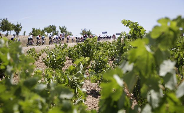 La provincia de Burgos se vuelca con La Vuelta más burgalesa y viaja con ella