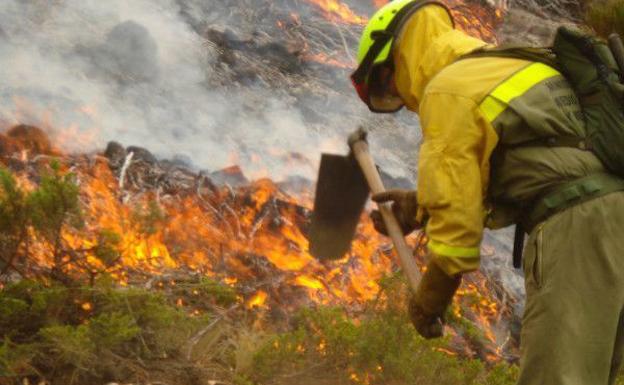 El PSOE denuncia que la provincia no tiene brigadas forestales de la Diputación y no ha concluido la limpieza de carreteras