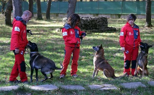 Doce voluntarios del GREM de Burgos y cinco perros de rastreo, preparados para ayudar en Haití