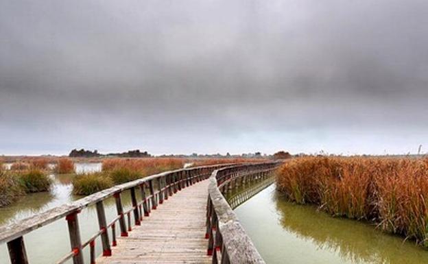 El Parque Nacional de Las Tablas de Daimiel se seca