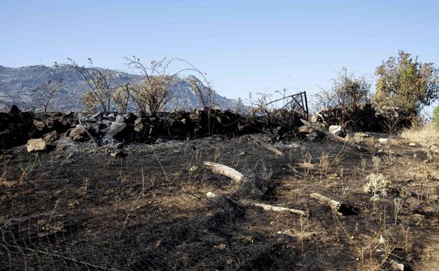 Los rayos y fuegos intencionados provocan una noche movida de incendios en Castilla y León