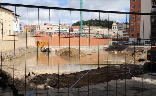 Los árboles retirados por la obra del edificio de viviendas del Paseo de la Isla deberán ser repuestos