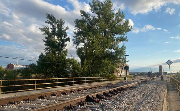 La Plataforma por el ferrocarril Madrid-Burgos demandará a Adif y al Ministerio por abandono de la línea