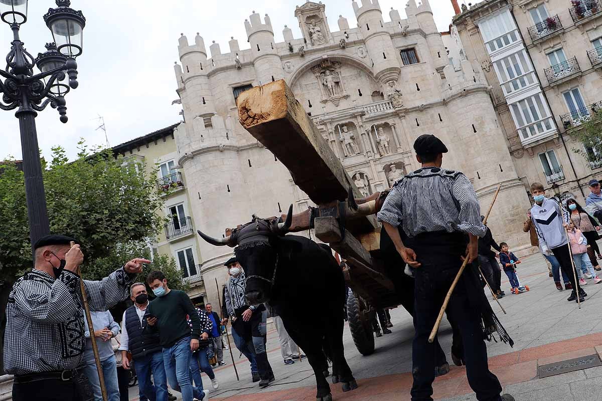 Homenaje a la madera, el 'esqueleto' de grandes edificios burgaleses