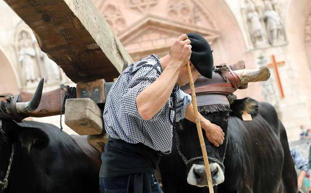 Los Carreteros reivindican la madera, 'esqueleto' de grandes monumentos burgaleses