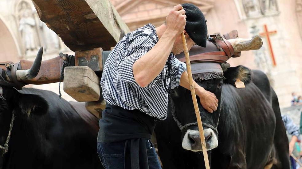 De serrar madera a transformarla, el sector maderero busca aumentar su valor en Burgos