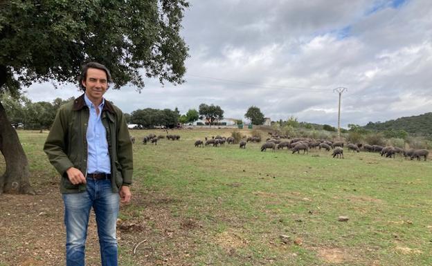 El tiempo esta semana: estable y seco en el inicio de la montanera