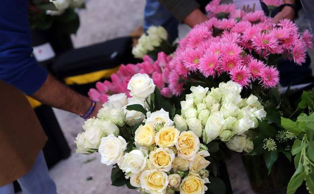 En busca del mejor florista de España