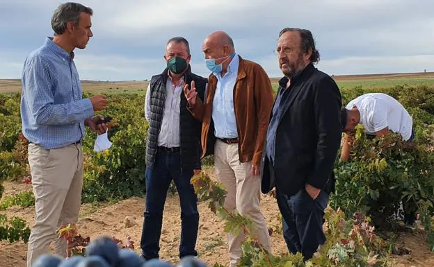 La vendimia llega al ecuador en Castilla y León con 145 millones de kilos de uva recogidos