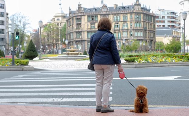 Los jueces fijarán la custodia y el régimen de visitas de las mascotas