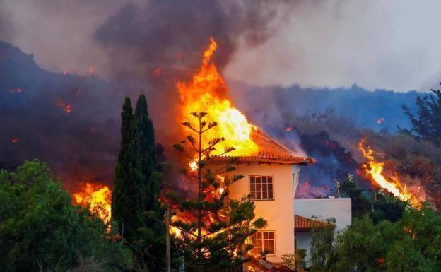 La Salle de Burgos repartirá 150 kilos de plátanos entre los alumnos para ayudar a La Palma