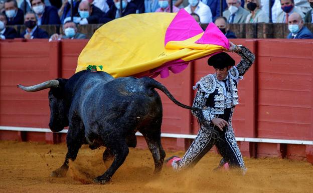 El Gobierno elimina los toros del bono cultural para los jóvenes