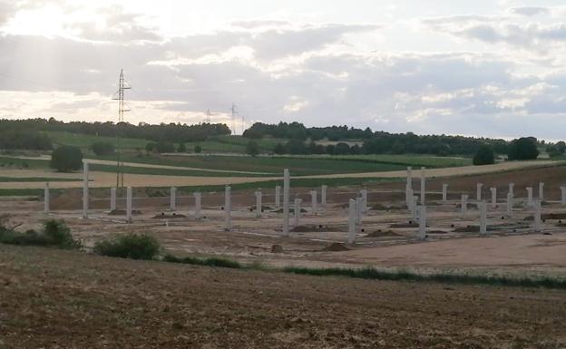 El sector porcino defiende que «hay sitio para todos» en la Ribera del Duero