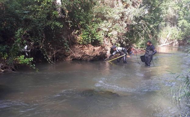 Estudian la fauna en 15 puntos de Burgos para conocer el estado de las masas superficiales del Duero