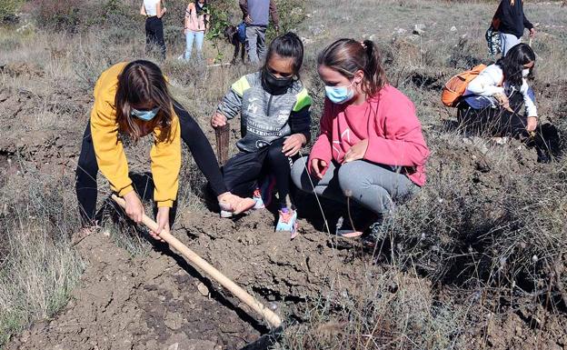 Los niños burgaleses aprenden a respetar a unos vecinos fundamentales, los árboles