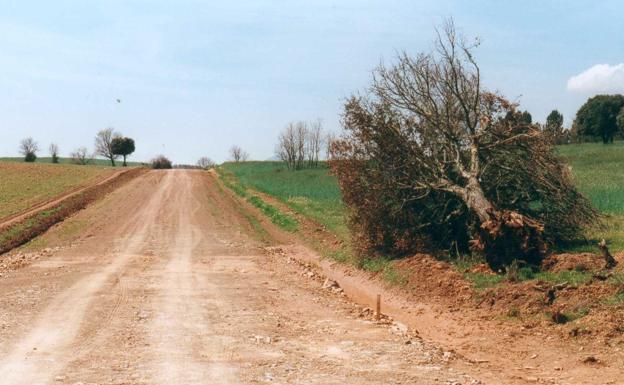 El TSJ da la razón a la Junta sobre el cobro de aranceles por los registradores en las concentraciones parcelarias