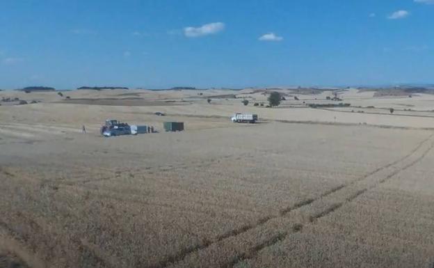 El campo de ensayo agrícola de UPA en Burgos demuestra incrementos en el rendimiento del trigo y la cebada