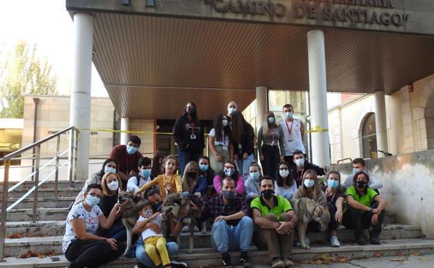 La UBU organiza un 'Taller con lobos' para dar a conocer las características y vida de estos animales