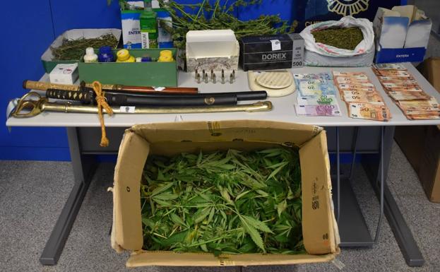 Detenido un hombre de 60 años con una plantación de marihuana en Miranda de Ebro