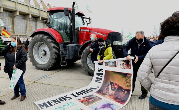 Castilla y León y otras tres regiones abandonan el grupo del Gobierno sobre el lobo y crean uno propio