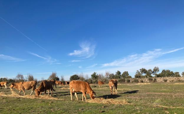 La Junta concede 13 millones para la bonificación de intereses en préstamos por la sequía