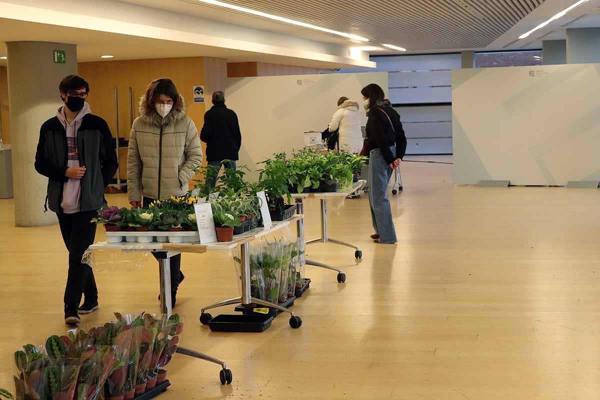 Un jardín de fin de semana para Burgos