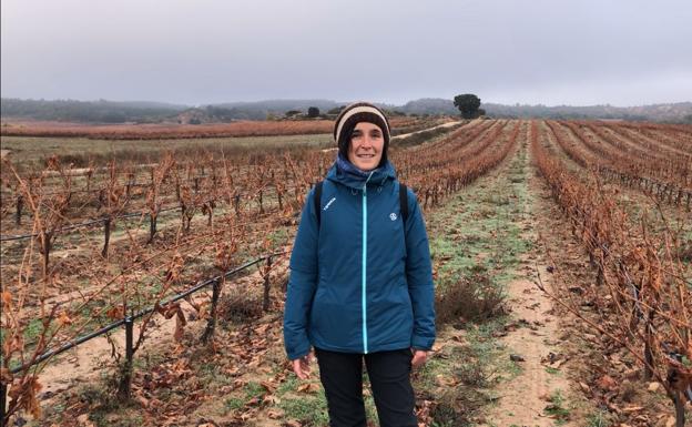 El tiempo: la ausencia de precipitaciones permite avanzar con la recolección de remolacha o maíz