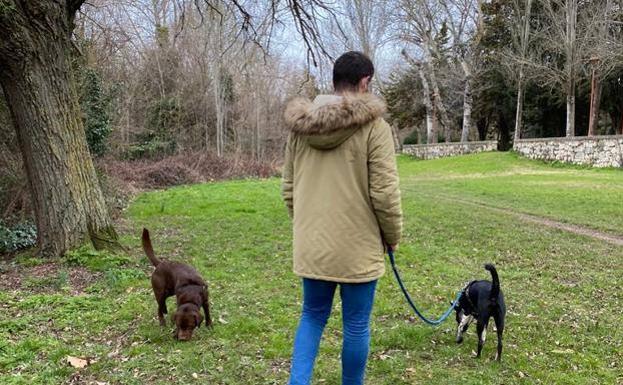 La Policía Local levanta 63 actas por irresponsabilidad con las mascotas en dos meses en Burgos