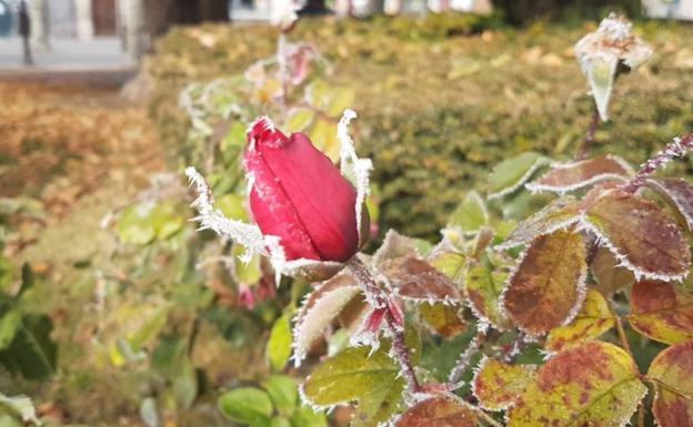 Burgos registra dos de las diez temperaturas más bajas de toda España