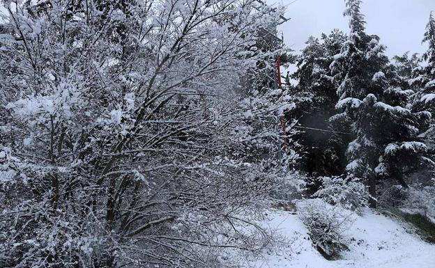 Activada la alerta por nieve en Burgos, cayendo la cota a 700 metros