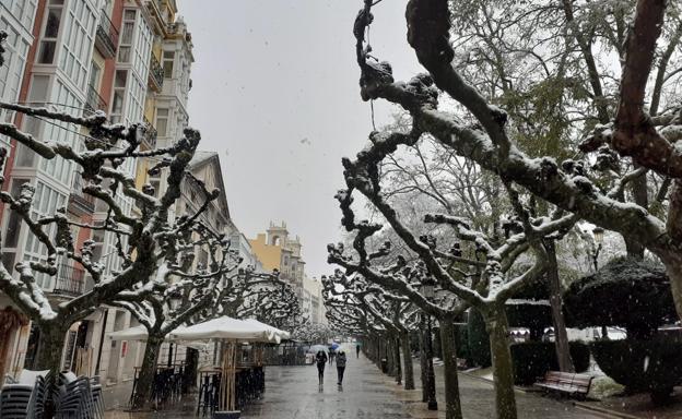 La provincia se tiñe de blanco, con alerta amarilla toda la semana