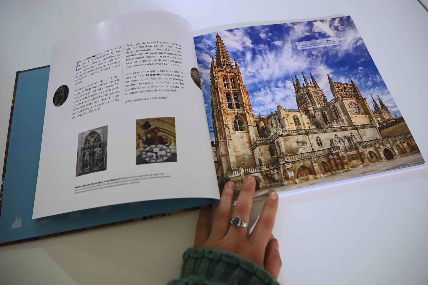 El Papamoscas y un perro juegan al escondite para ofrecer un recorrido diferente por la Catedral