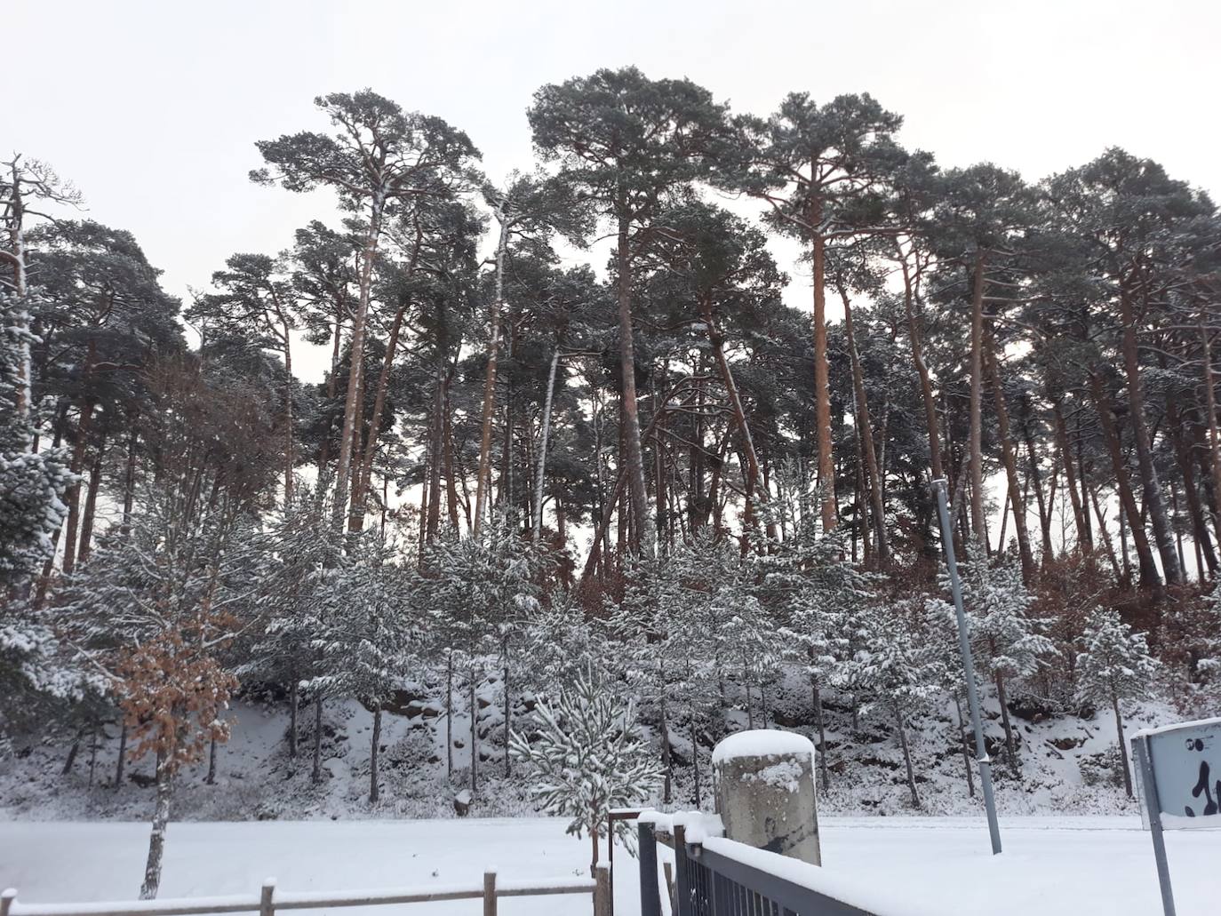 Activada la alerta por nieve en Burgos