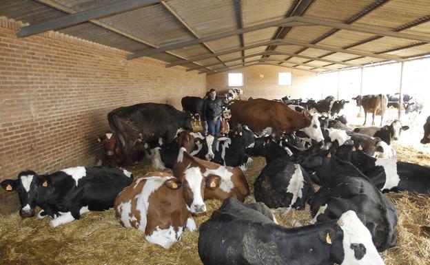 El Congreso vota hoy la Ley de la Cadena Alimentaria