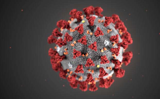 Un anticuerpo monoclonal se muestra efectivo ante Ómicron en su fase preclínica